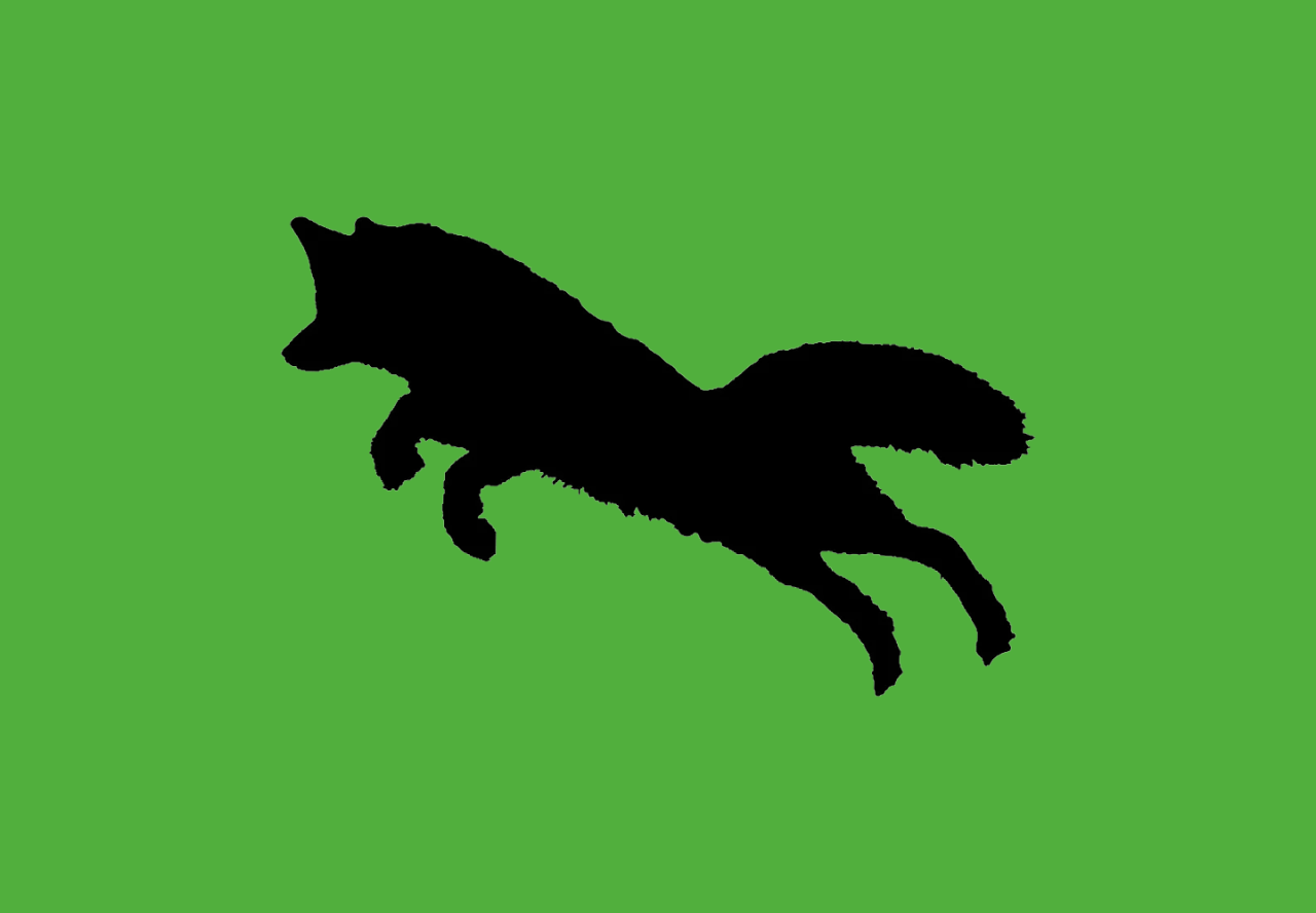 Silhouette von Fuchs auf grünem Hintergrund